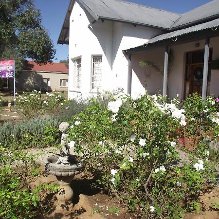 Bed and Breakfast Lavender Rose Bethulie Екстер'єр фото
