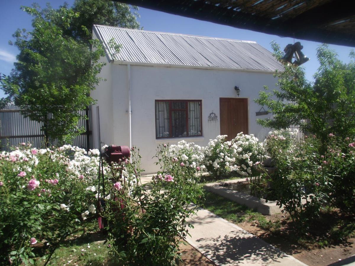 Bed and Breakfast Lavender Rose Bethulie Екстер'єр фото
