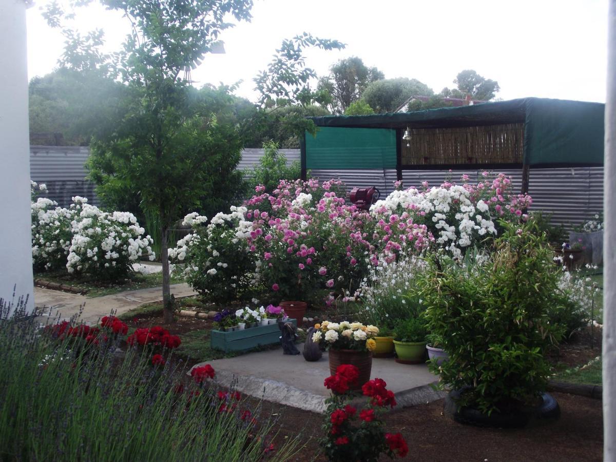 Bed and Breakfast Lavender Rose Bethulie Екстер'єр фото