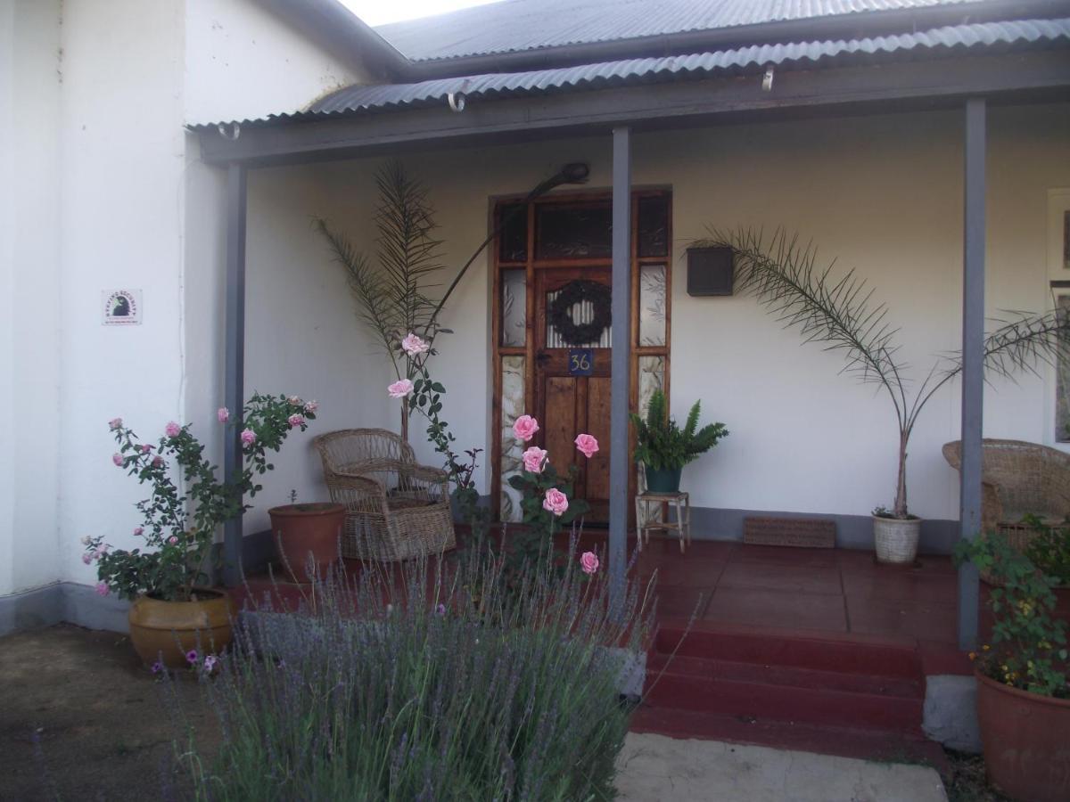 Bed and Breakfast Lavender Rose Bethulie Екстер'єр фото