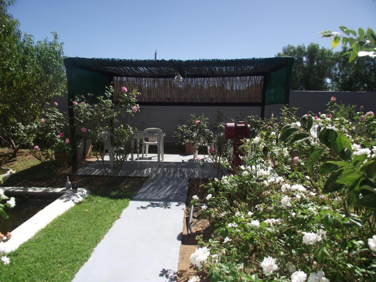 Bed and Breakfast Lavender Rose Bethulie Екстер'єр фото